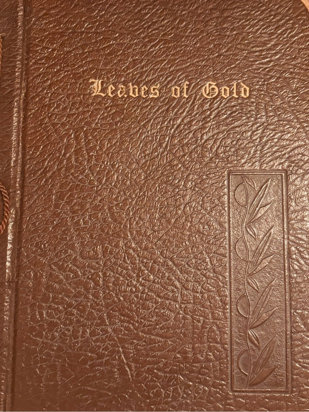 Leaves of Gold Brown Decorative Photo Album